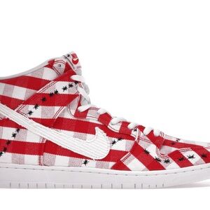 Nike Dunk High Pro SB “Picnic” Size 14